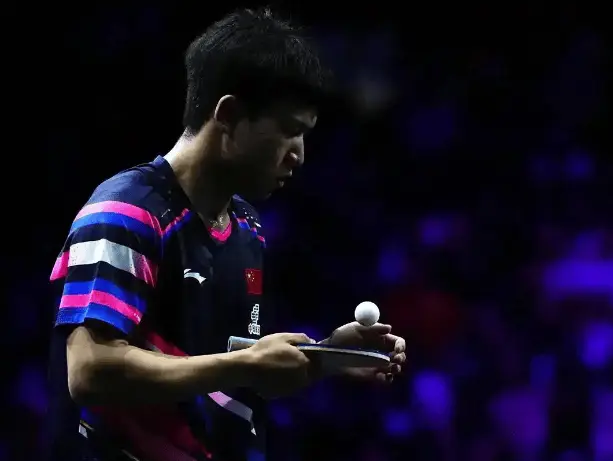 代表, 樊振东到王 代表, 樊振东到王